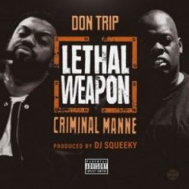 in the mean time don trip download