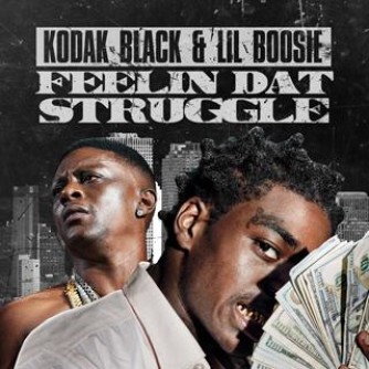 my struggle lil boosie free download