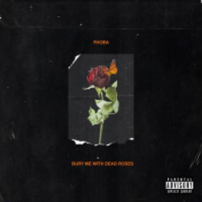 phora hoodies with roses